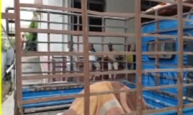 पूर्णिया में रिश्तों का कत्ल: 12 साल बाद पंजाब से लौटा छोटा भाई बना काल, बड़े भाई की बेरहमी से हत्या; इलाके में सनसनी