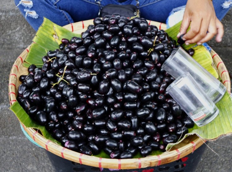 Black pulm: सीजन में जम कर खाएं जामुन,एक नहीं कई रोग रहेंगे कोसों दूर 