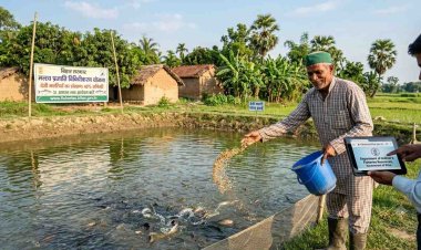 बिहार में देसी मछलियों के बहुरेंगे दिन, पालन पर मिलेगी 60% सब्सिडी, 31 अगस्त तक करें आवेदन