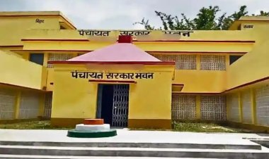 बिहार में पंचायतों का नए सिरे से होगा परिसीमन: जानिए आपकी पंचायत का नाम, मुख्यालय और सीमाएं कैसे तय होंगी